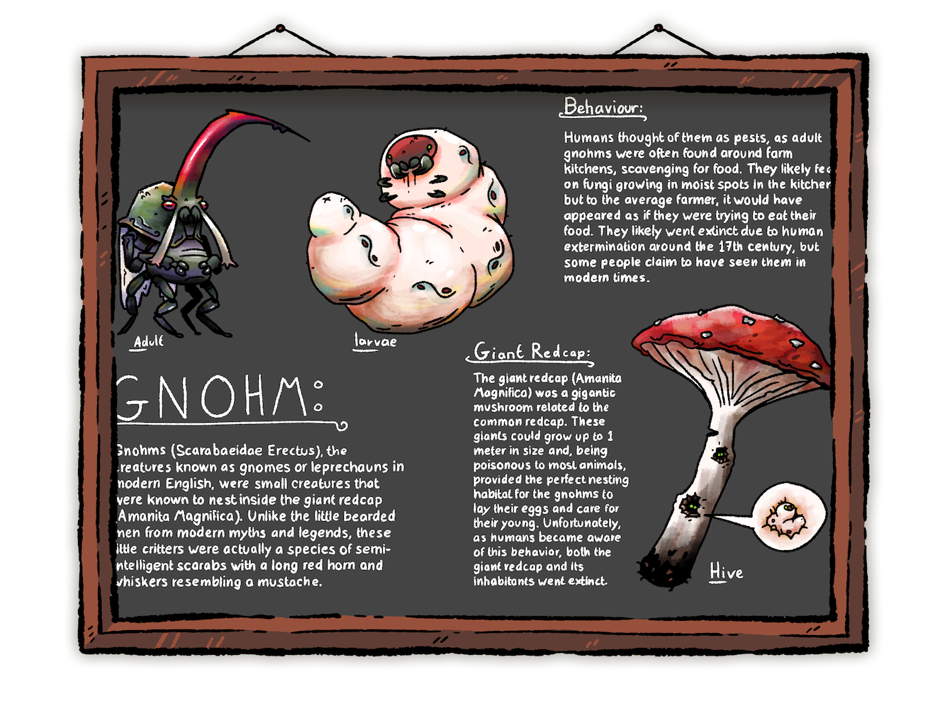 Gnohm
